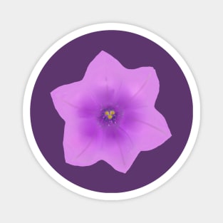 Pretty Purple Petunia Magnet